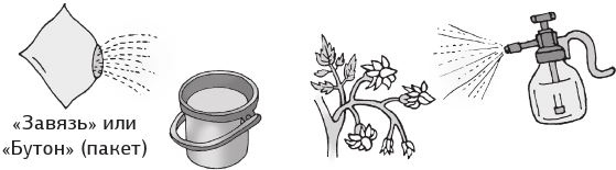 Иллюстрация к книге — Как вырастить свою рассаду и разбить правильные грядки [i_031.jpg]