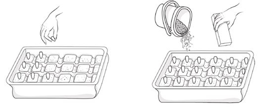 Иллюстрация к книге — Как вырастить свою рассаду и разбить правильные грядки [i_042.jpg]