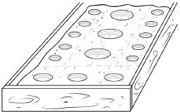 Иллюстрация к книге — Как вырастить свою рассаду и разбить правильные грядки [i_045.jpg]