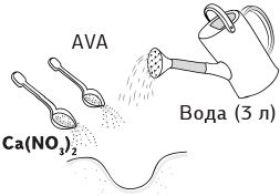 Иллюстрация к книге — Как вырастить свою рассаду и разбить правильные грядки [i_046.jpg]