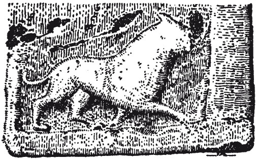 Иллюстрация к книге — История армянского народа. Доблестные потомки великого Ноя [i_243.jpg]