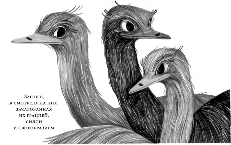 Иллюстрация к книге — Те, кто делает нас лучше [i_010.jpg]