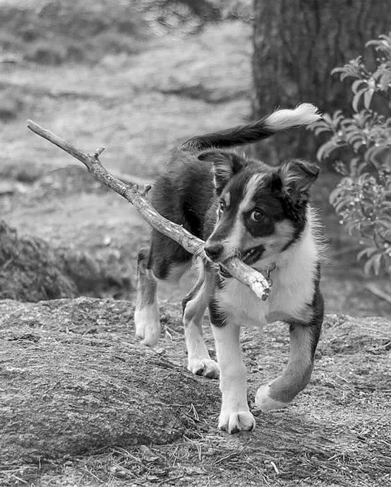 Иллюстрация к книге — Те, кто делает нас лучше [i_080.jpg]