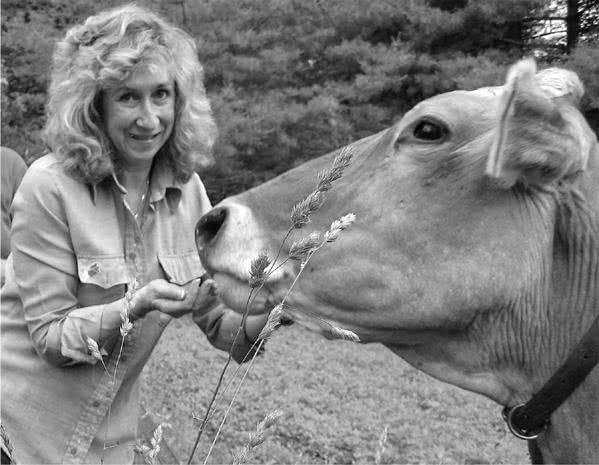 Иллюстрация к книге — Те, кто делает нас лучше [i_089.jpg]