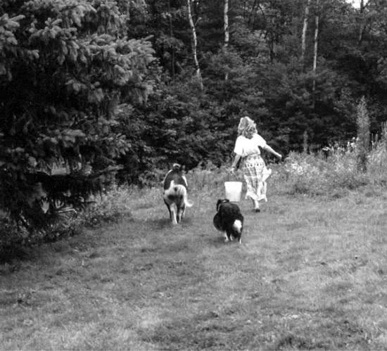 Иллюстрация к книге — Те, кто делает нас лучше [i_092.jpg]