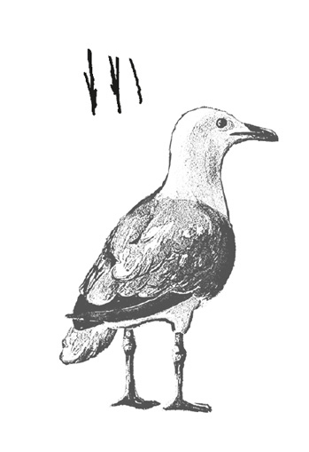 Иллюстрация к книге — Где кончается мир [i_006.jpg]