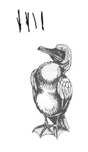 Иллюстрация к книге — Где кончается мир [i_008.jpg]