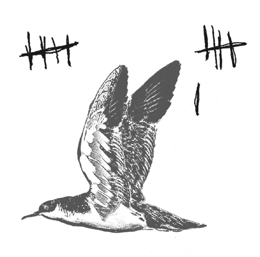 Иллюстрация к книге — Где кончается мир [i_022.jpg]