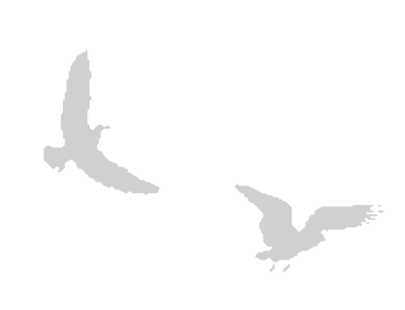 Иллюстрация к книге — Где кончается мир [i_025.jpg]