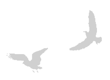 Иллюстрация к книге — Где кончается мир [i_027.jpg]