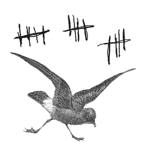 Иллюстрация к книге — Где кончается мир [i_030.jpg]