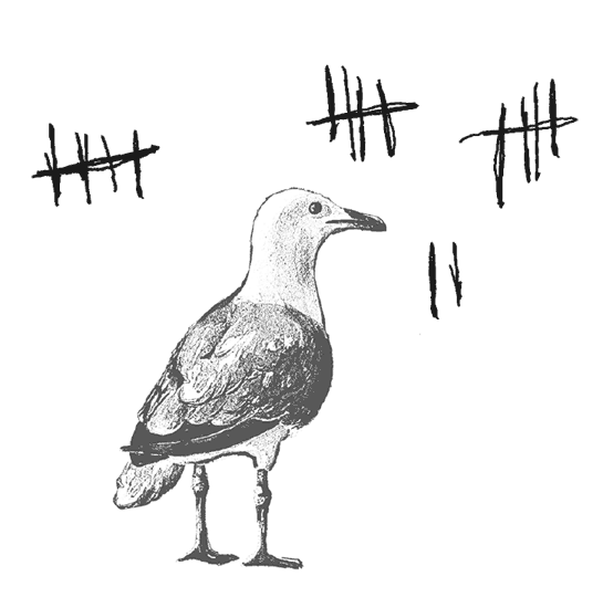 Иллюстрация к книге — Где кончается мир [i_034.jpg]