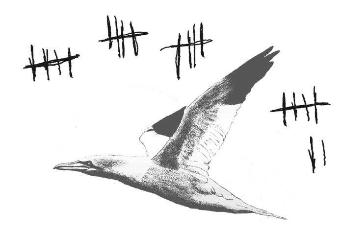 Иллюстрация к книге — Где кончается мир [i_039.jpg]