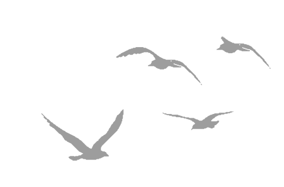 Иллюстрация к книге — Где кончается мир [i_042.jpg]