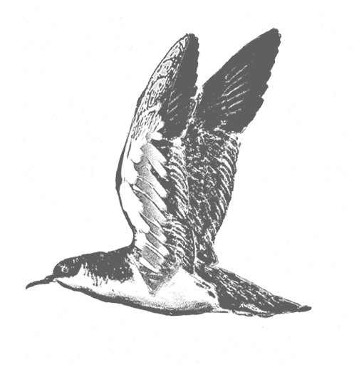 Иллюстрация к книге — Где кончается мир [i_045.jpg]