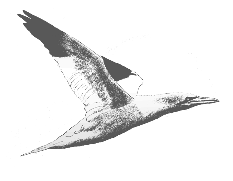 Иллюстрация к книге — Где кончается мир [i_048.jpg]