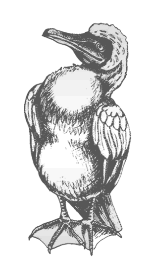 Иллюстрация к книге — Где кончается мир [i_049.jpg]