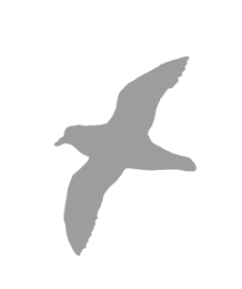 Иллюстрация к книге — Где кончается мир [i_052.jpg]