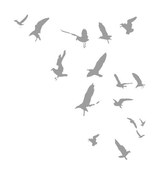 Иллюстрация к книге — Где кончается мир [i_054.jpg]