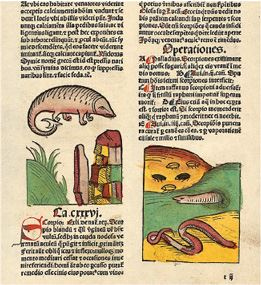 Иллюстрация к книге — Воображаемый враг: Иноверцы в средневековой иконографии [i_102.jpg]