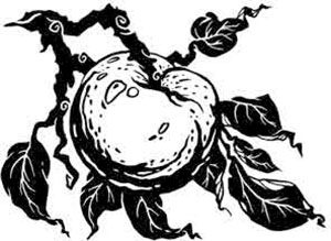 Иллюстрация к книге — Навия. Возвращение [i_009.jpg]