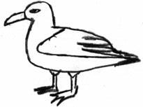 Иллюстрация к книге — Добриллион [i_030.jpg]