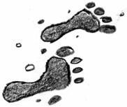 Иллюстрация к книге — Добриллион [i_061.jpg]