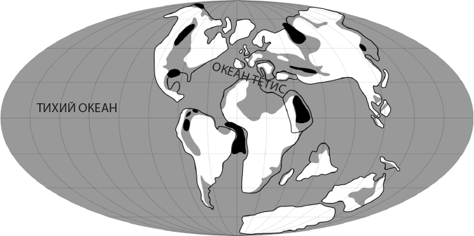 Иллюстрация к книге — Происхождение. Как Земля создала нас [i_025.jpg]