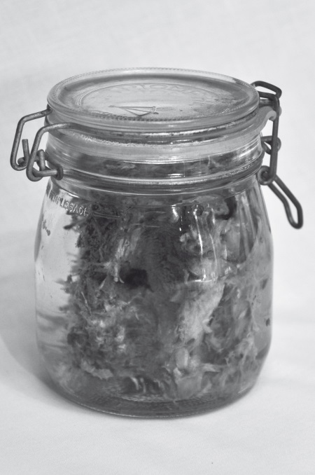 Иллюстрация к книге — Нетленный прах [i_004.jpg]