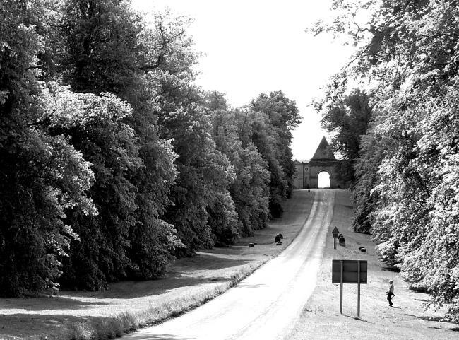 Иллюстрация к книге — Поход в Европу. Когда Америка была с Россией [i_030.jpg]