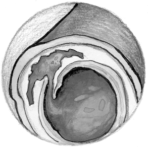 Иллюстрация к книге — Хрупкий мозг. Инсульту не быть? [img_27.jpg]