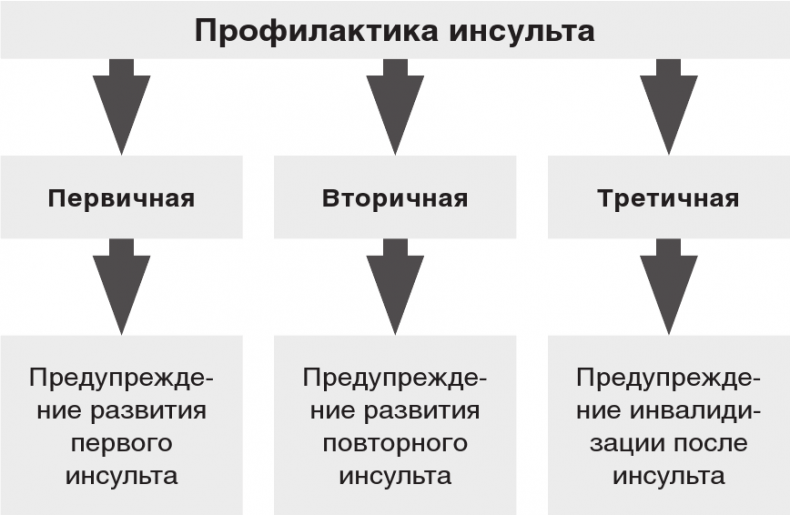 Иллюстрация к книге — Хрупкий мозг. Инсульту не быть? [img_35.jpg]