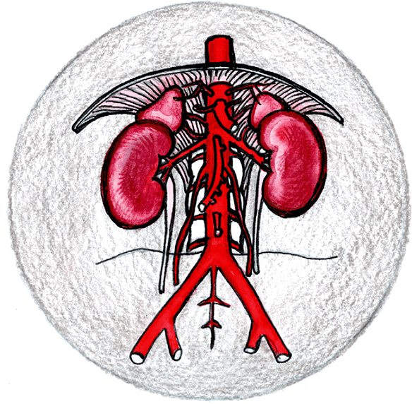 Иллюстрация к книге — Хрупкий мозг. Инсульту не быть? [img_47.jpg]