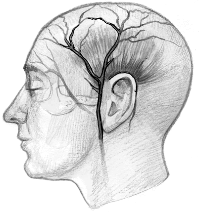 Иллюстрация к книге — Хрупкий мозг. Инсульту не быть? [img_52.jpg]