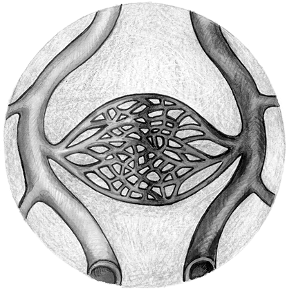 Иллюстрация к книге — Хрупкий мозг. Инсульту не быть? [img_77.jpg]