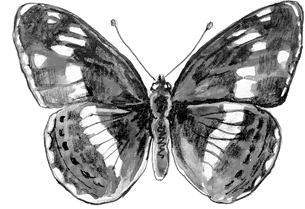 Иллюстрация к книге — Хрупкий мозг. Инсульту не быть? [img_81.jpg]