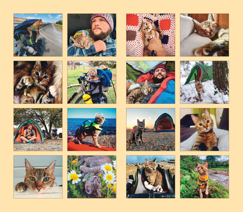 Иллюстрация к книге — Мир Налы [i_002.jpg]