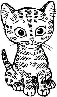 Иллюстрация к книге — Мир Налы [i_005.jpg]