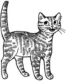 Иллюстрация к книге — Мир Налы [i_011.jpg]