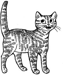 Иллюстрация к книге — Мир Налы [i_015.jpg]