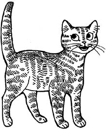 Иллюстрация к книге — Мир Налы [i_020.jpg]