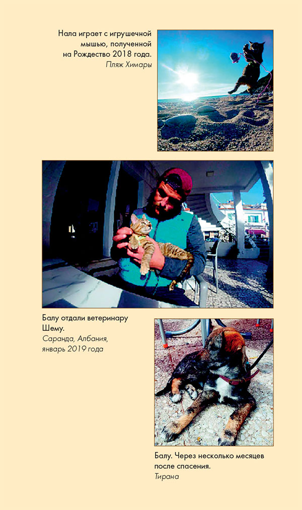 Иллюстрация к книге — Мир Налы [i_032.jpg]