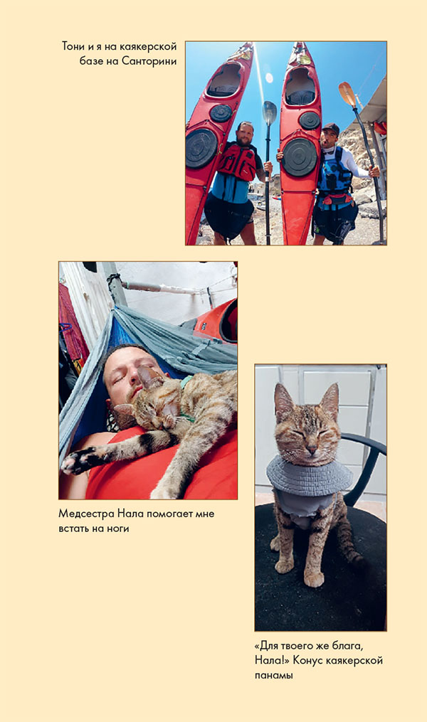 Иллюстрация к книге — Мир Налы [i_034.jpg]