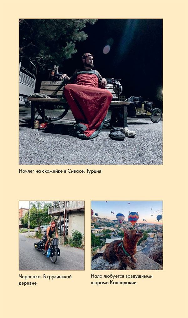 Иллюстрация к книге — Мир Налы [i_039.jpg]