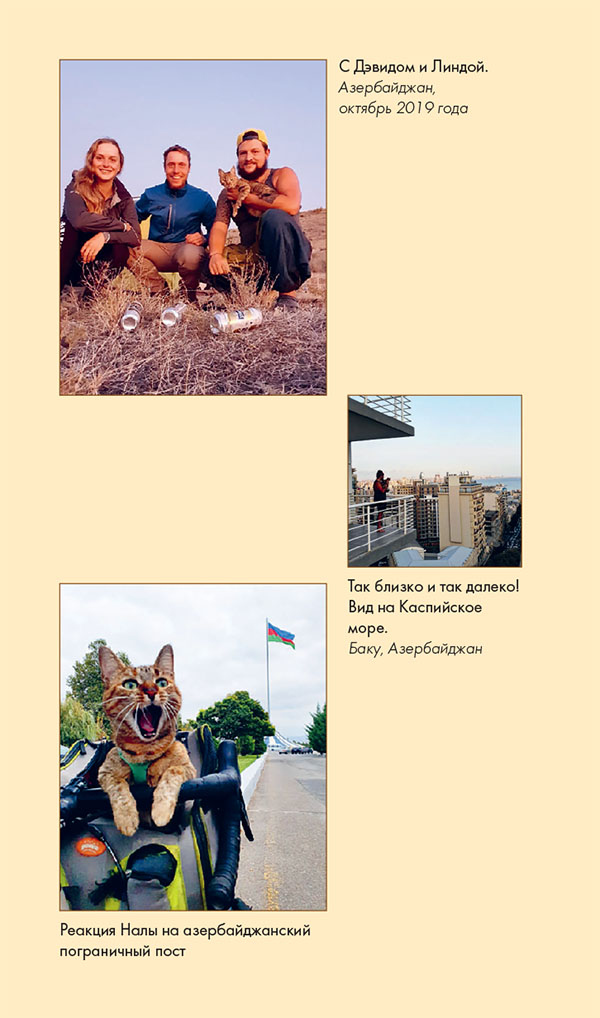 Иллюстрация к книге — Мир Налы [i_041.jpg]