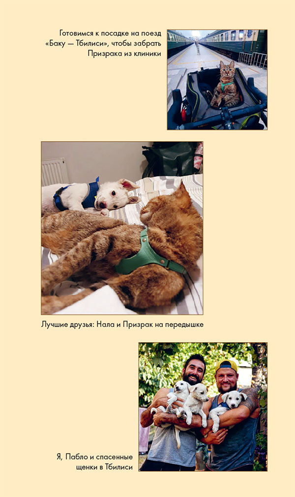 Иллюстрация к книге — Мир Налы [i_042.jpg]