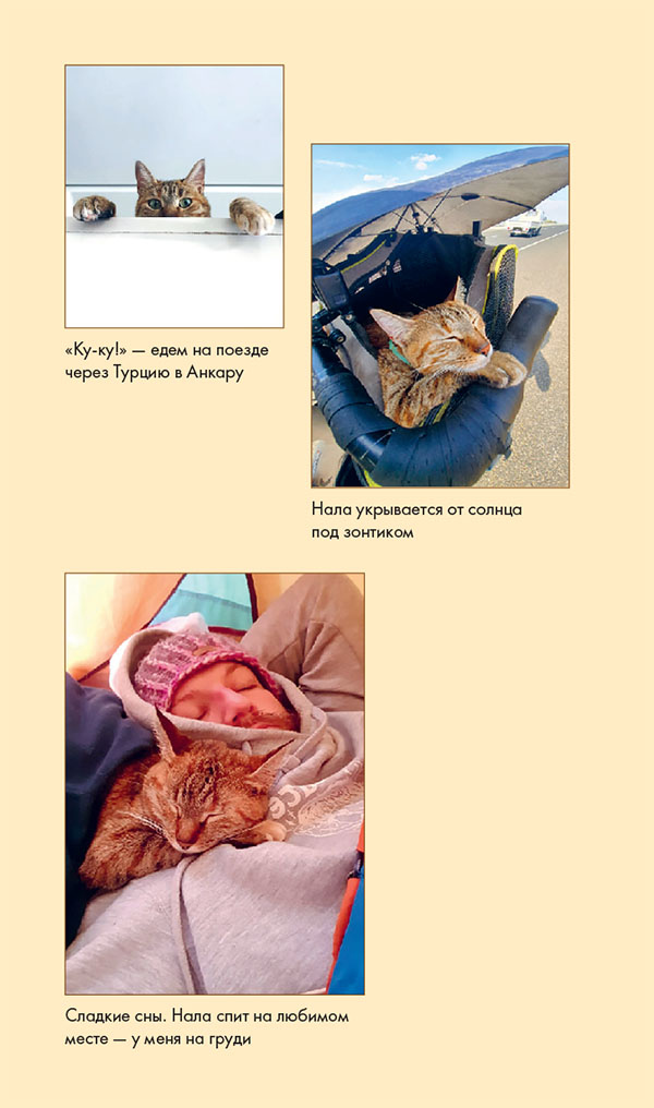 Иллюстрация к книге — Мир Налы [i_045.jpg]