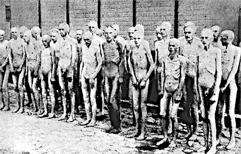 Иллюстрация к книге — Непокоренный. От чудом уцелевшего в Освенциме до легенды Уолл-стрит: выдающаяся история Зигберта Вильцига [i_004.jpg]