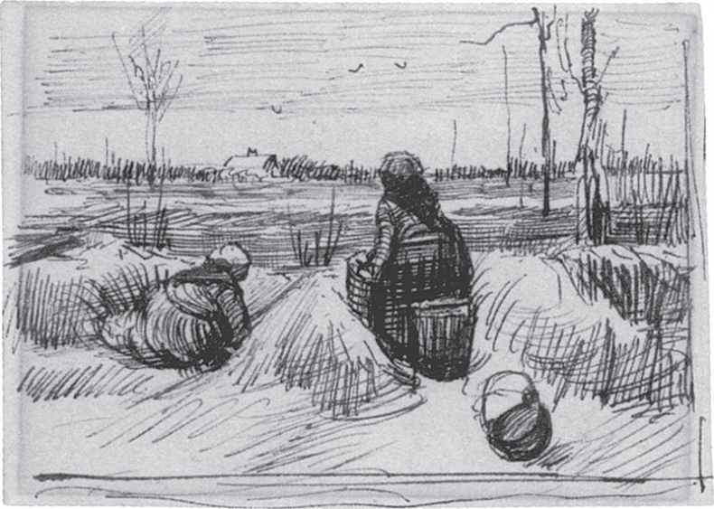 Иллюстрация к книге — Мечтавший о солнце. Письма 1883–1890 годов [i_009.jpg]