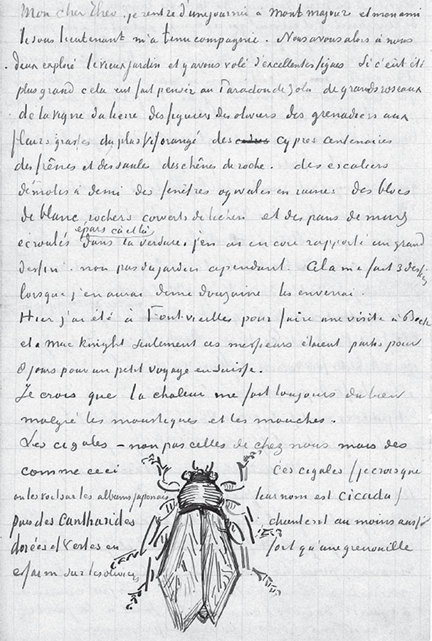 Иллюстрация к книге — Мечтавший о солнце. Письма 1883–1890 годов [i_030.jpg]